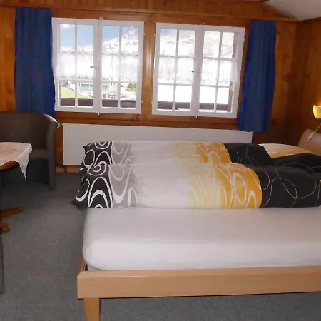 Chalet In Dr Schluecht Apartmán Grindelwald